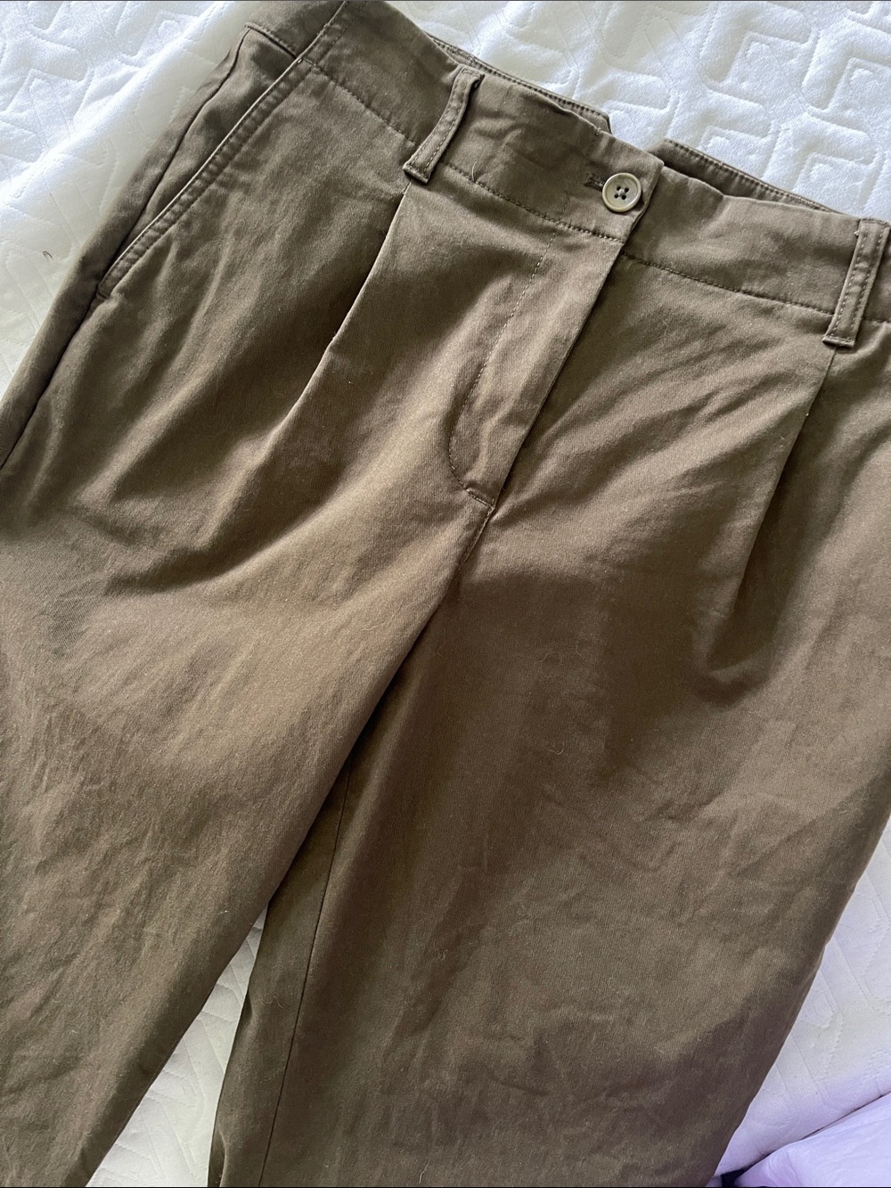 Talbots Olive Green Pleated Chino Pants